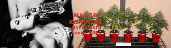 крисы Балахна