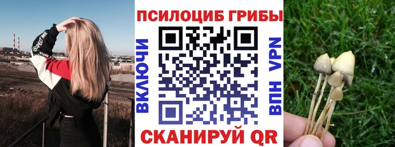 Псилоцибиновые грибы MAGIC MUSHROOMS  Красный Сулин 